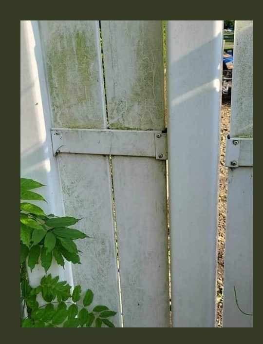 White vinyl privacy fence panel with algae staining before washing