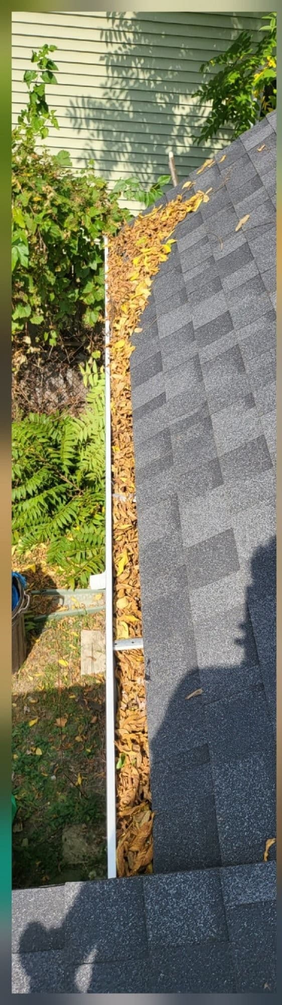 Long roofline gutter drop packed with leaves before cleaning
