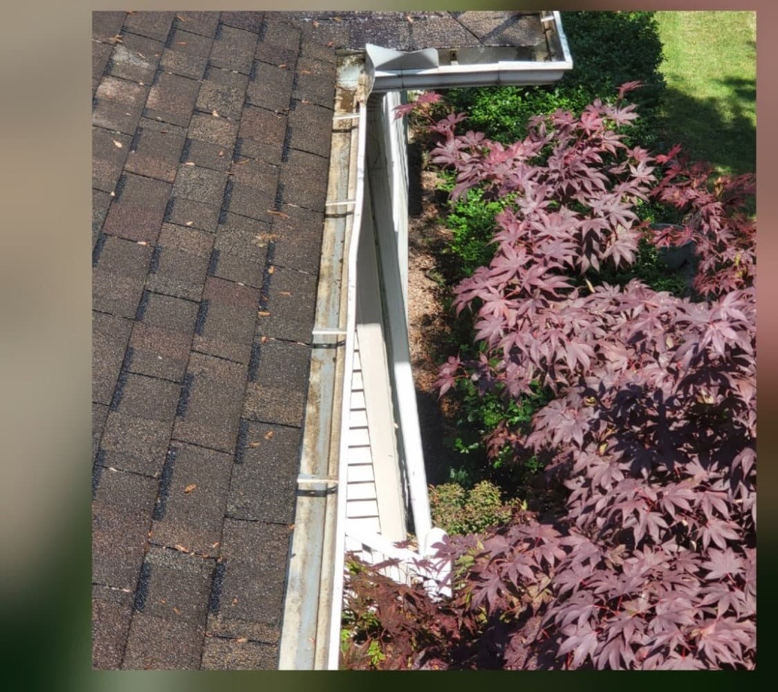 Gutter run along landscaped roofline cleared and flowing after service