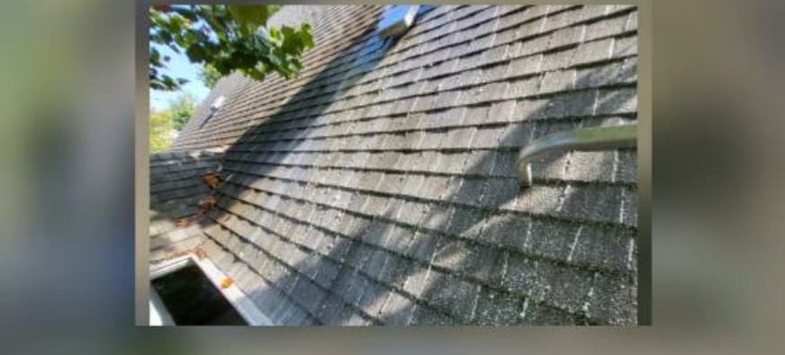 Sloped shingle roof brightened and restored after cleaning