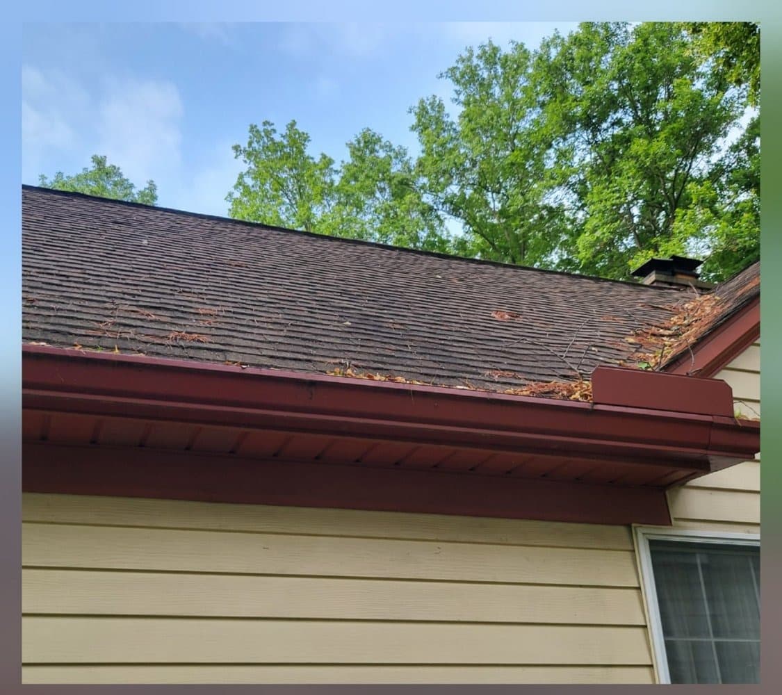 Shingle roofline and gutter edge with visible buildup before cleaning
