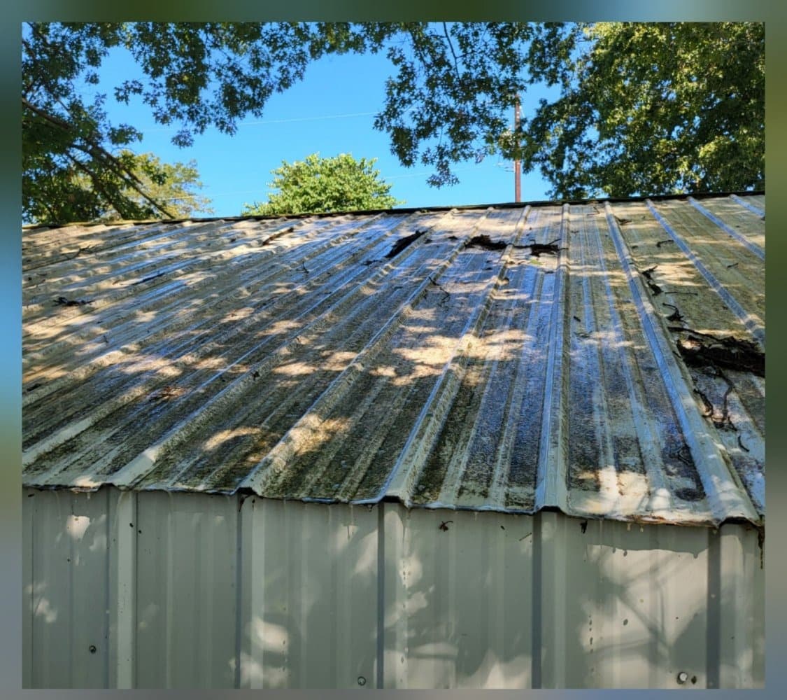 Metal panel roof with heavy organic buildup before cleaning