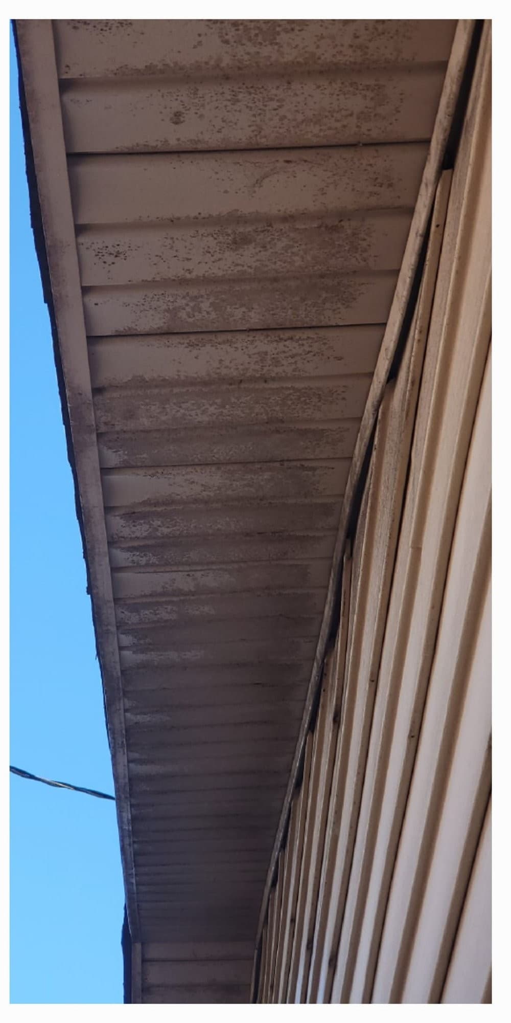 Soffit and fascia detail brightened after soft washing service in Flint