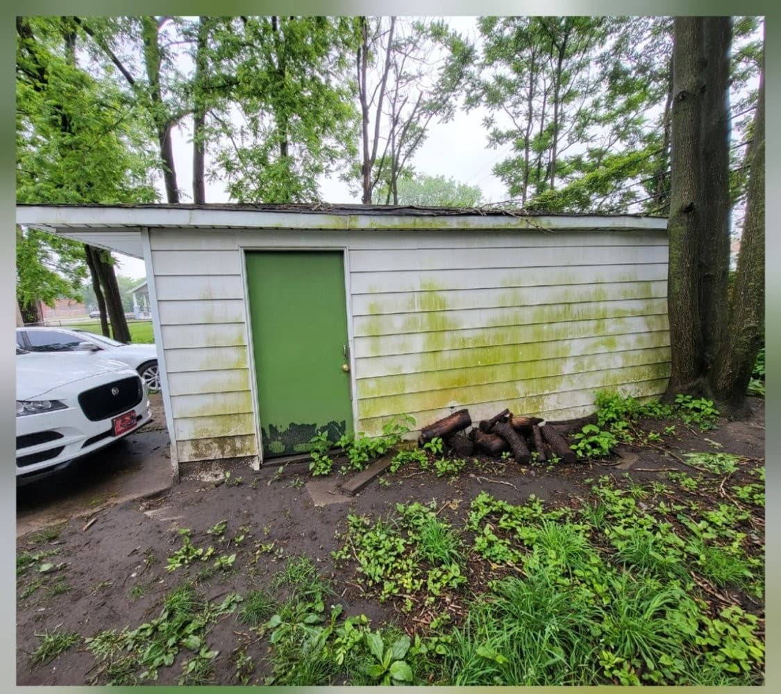 Shed siding with dirt and organic staining before washing