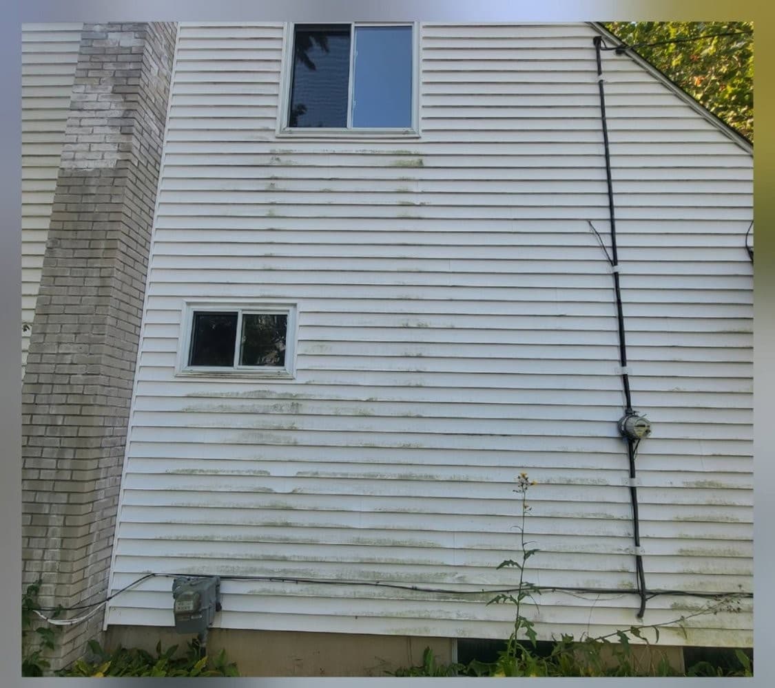 Vinyl siding in Flint home with green algae and dark streaking before soft washing