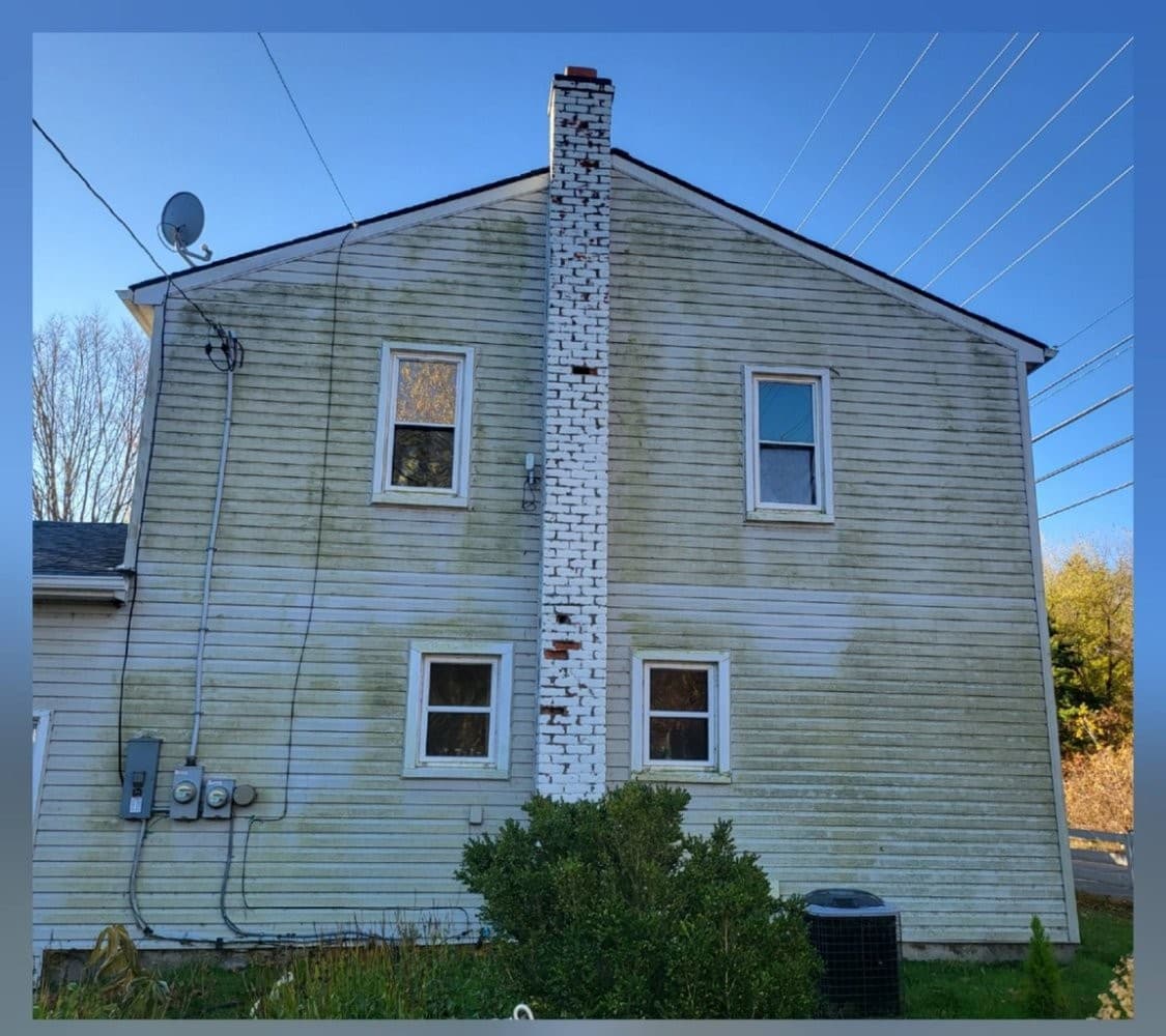 North-facing exterior wall with heavy organic buildup before house soft wash