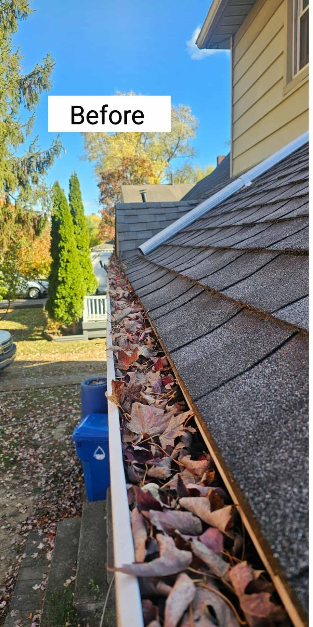 Gutter section before cleaning (image includes printed before label)