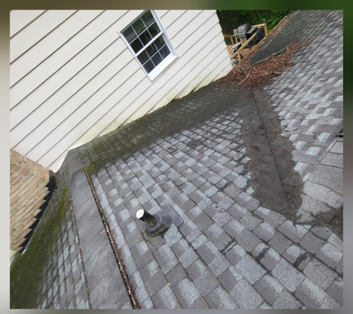 Flat roof with heavy organic growth and staining before soft wash